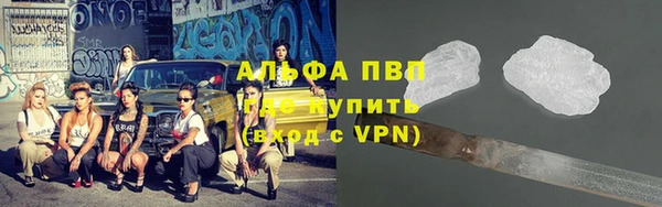 прущие крисы Белокуриха