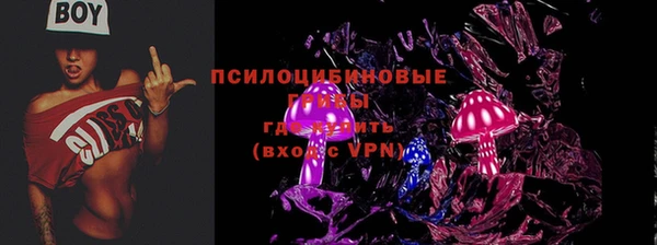 прущие крисы Белокуриха