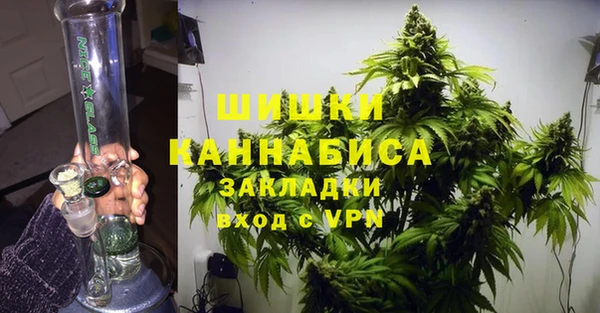прущие крисы Белокуриха