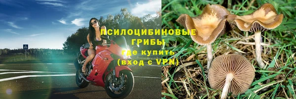 прущая мука Богородицк
