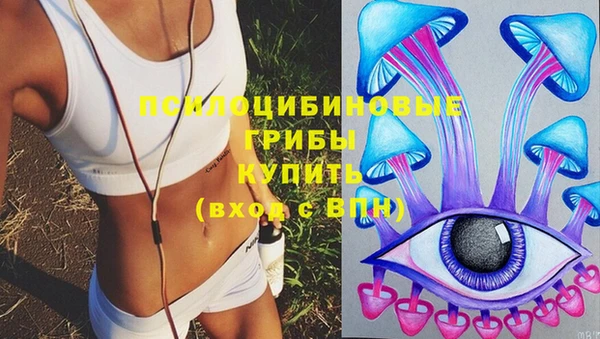 дурь Тавда