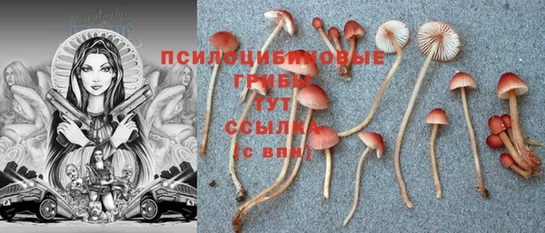 spice Струнино