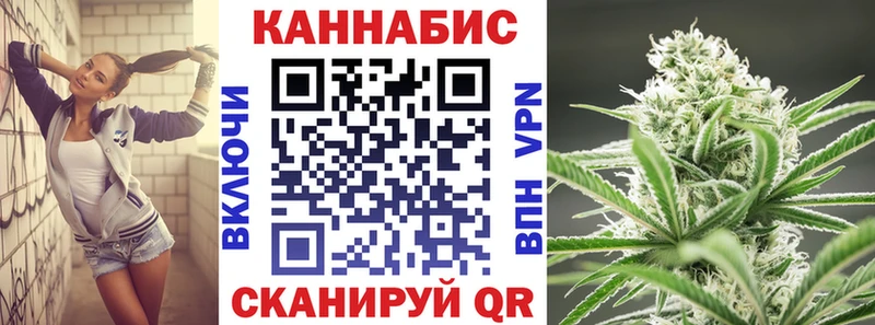 Бошки марихуана сатива  где найти наркотики  Верхний Уфалей 
